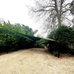 Gravel garden path flanked by hedges and a green triangular shade sail overhead.