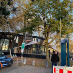 Cafe storefront with outdoor seating beneath large trees and autumn leaves on a cobblestone sidewalk