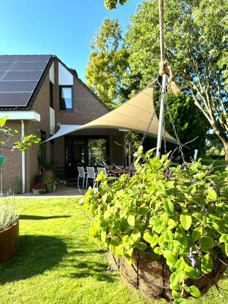 Sunny backyard with a brick house, solar panels, a beige shade sail, and a hanging potted plant in the foreground.